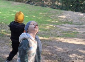 Pani Jesień, gdzie jesteś?