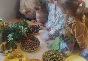 Zdjęcie 1 na 22