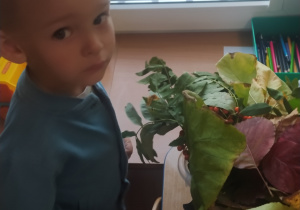 Zdjęcie 2 na 22