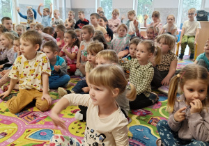Zdjęcie 13 na 13