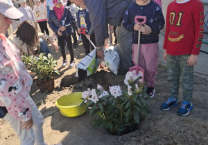 Zdjęcie 47 na 51