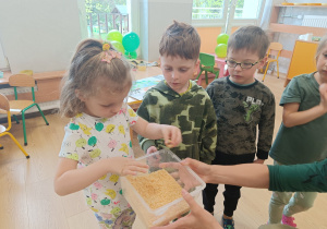 Zdjęcie 18 na 51