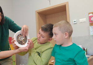 Zdjęcie 26 na 51