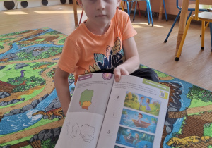 Zdjęcie 11 na 54