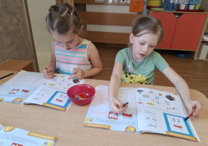Zdjęcie 37 na 54