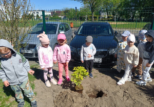 Zdjęcie 2 na 12