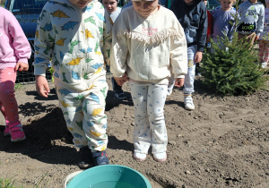 Zdjęcie 3 na 12
