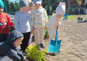 Zdjęcie 5 na 12