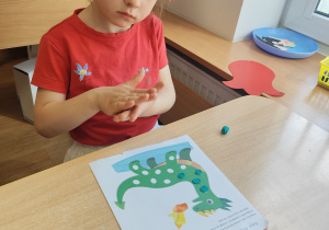 Zdjęcie 16 na 28