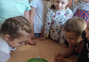 Zdjęcie 5 na 5