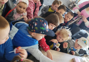 Zdjęcie 7 na 10