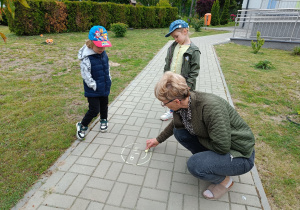 Zdjęcie 4 na 13