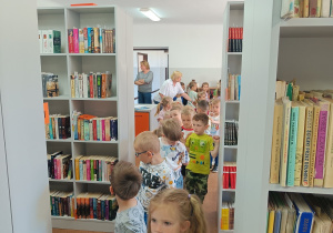 Zdjęcie 15 na 49