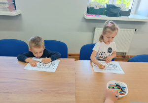 Zdjęcie 19 na 49