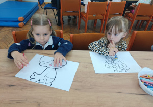 Zdjęcie 22 na 49