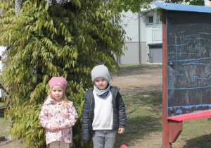 Zdjęcie 1 na 11