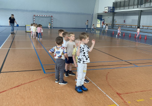 Zdjęcie 14 na 45