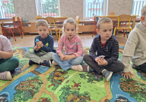 Zdjęcie 4 na 21
