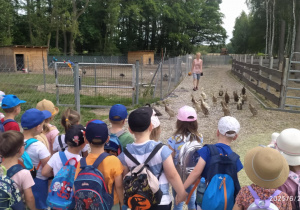 Zdjęcie 7 na 40