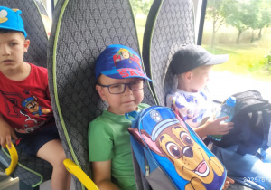 Zdjęcie 13 na 40
