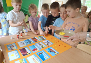 Zdjęcie 15 na 22