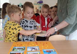 Zdjęcie 16 na 22