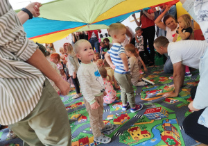 Zdjęcie 8 na 16