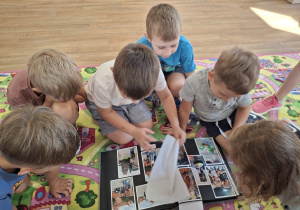 Zdjęcie 2 na 31