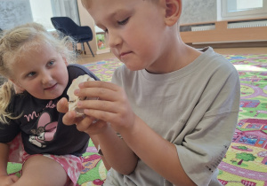 Zdjęcie 3 na 31