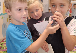 Zdjęcie 10 na 31