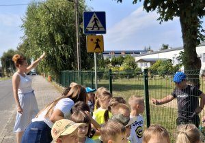 Zdjęcie 6 na 14