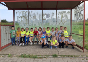 Zdjęcie 9 na 14