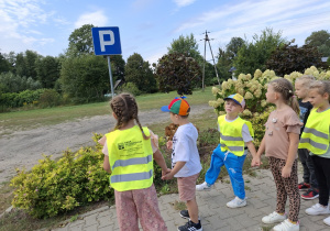 Zdjęcie 10 na 14
