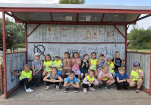 Zdjęcie 11 na 14