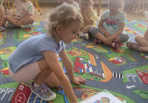 Zdjęcie 16 na 16