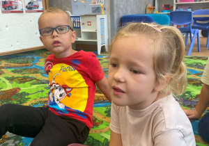 Zdjęcie 16 na 16