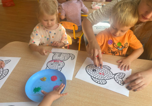 Zdjęcie 41 na 51