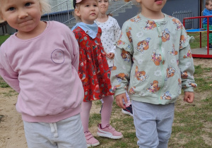 Zdjęcie 51 na 51