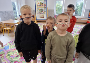 Zdjęcie 5 na 39
