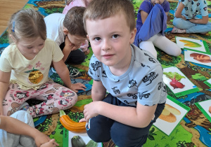 Zdjęcie 12 na 73
