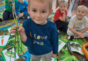 Zdjęcie 13 na 73