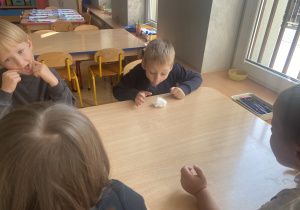Zdjęcie 9 na 15