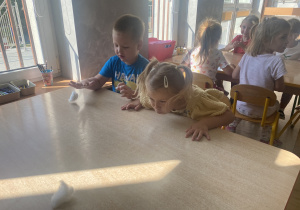 Zdjęcie 12 na 15