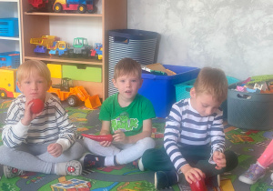 Zdjęcie 23 na 35