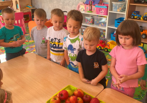 Zdjęcie 12 na 31