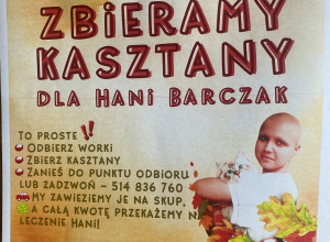 Zbiórka kasztanów