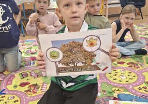 Zdjęcie 2 na 41