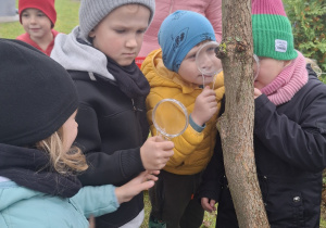 Zdjęcie 12 na 41