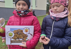 Zdjęcie 15 na 41