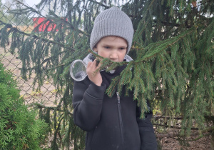 Zdjęcie 20 na 41